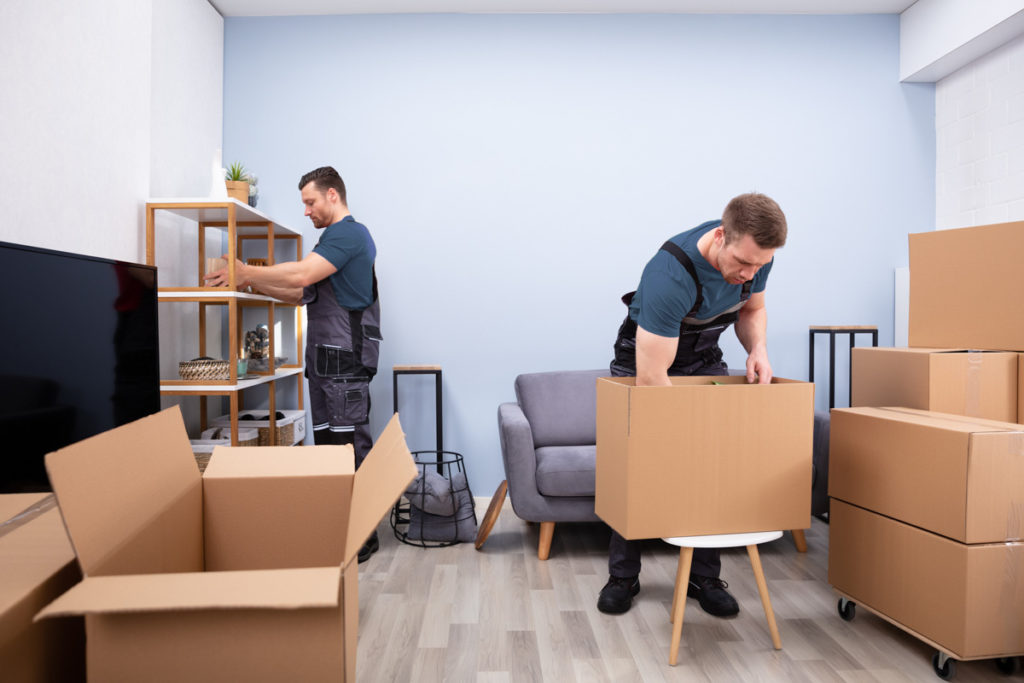 Two Young Movers In Uniform Picking And Putting Products In The Cardboard Boxes